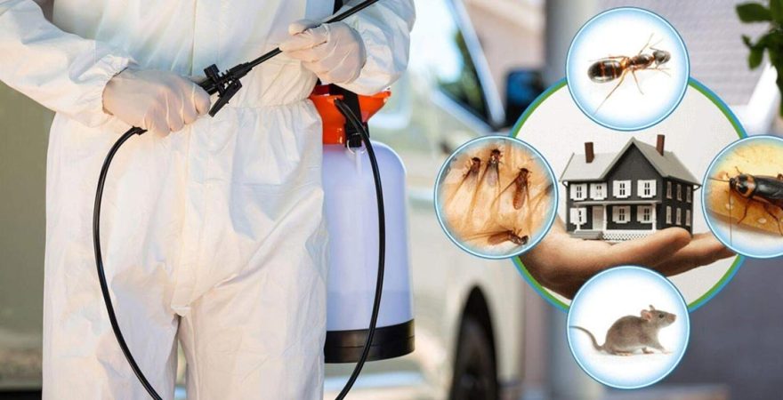 Hasankeyf Böcek İlaçlama