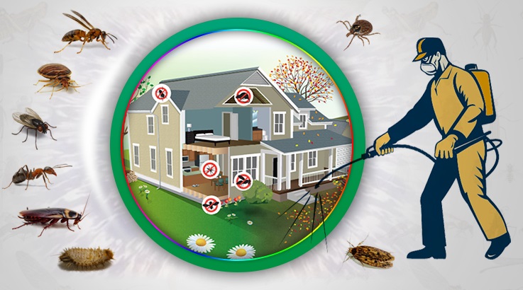 Hasankeyf Böcek İlaçlama