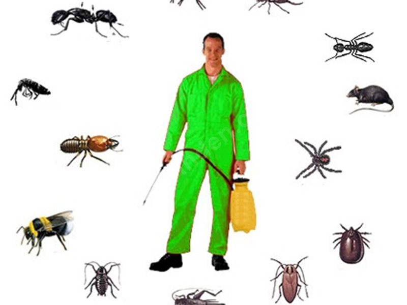 Hasankeyf Böcek İlaçlama